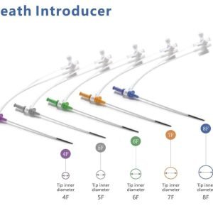 Sheath introducer